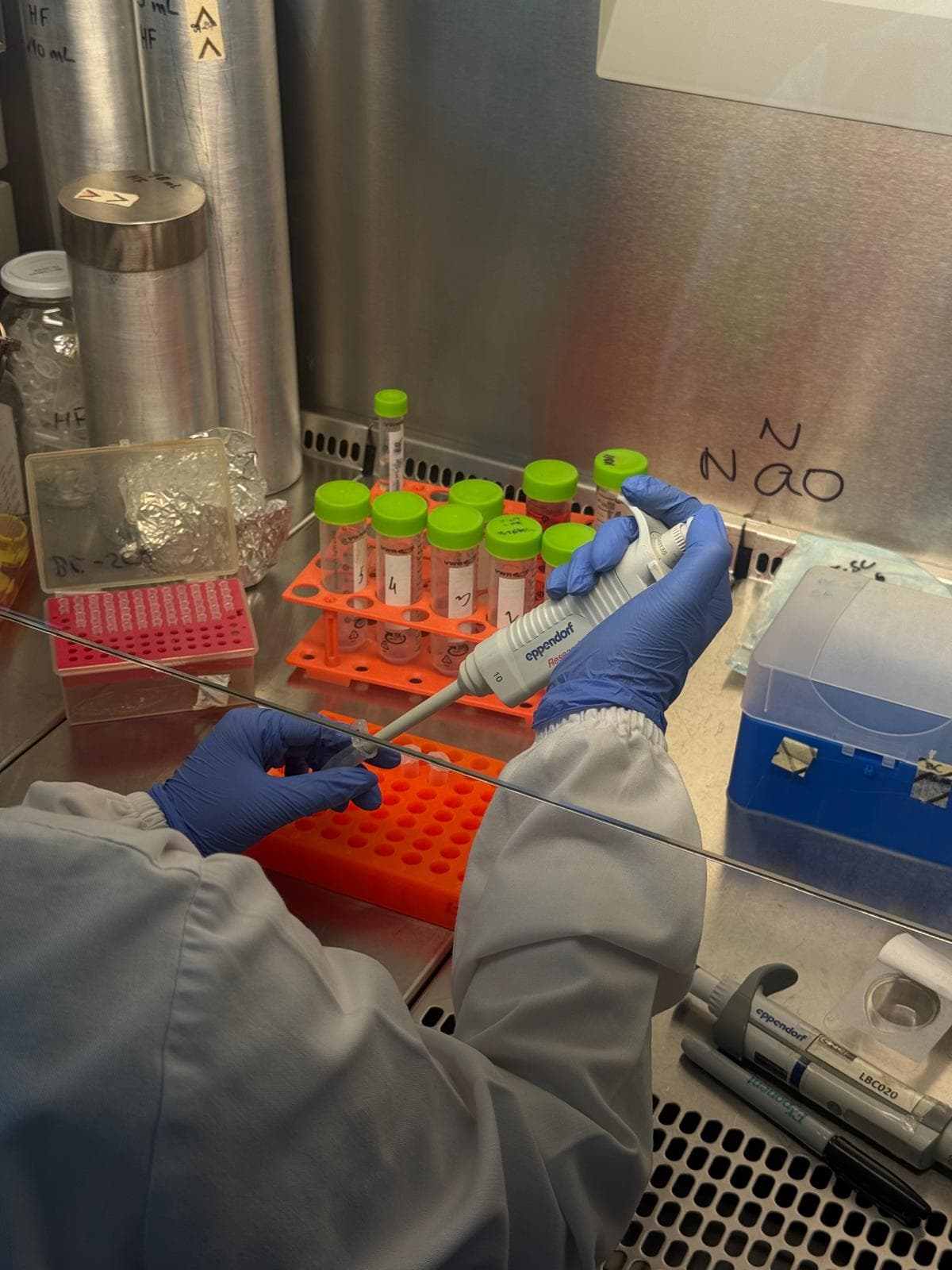 Pipetting samples inside a biosafety cabinet
