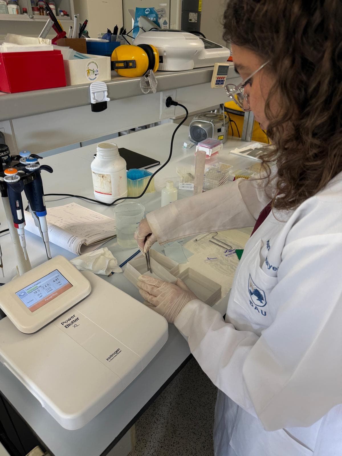 Rayan Rehayel running a protein transfer