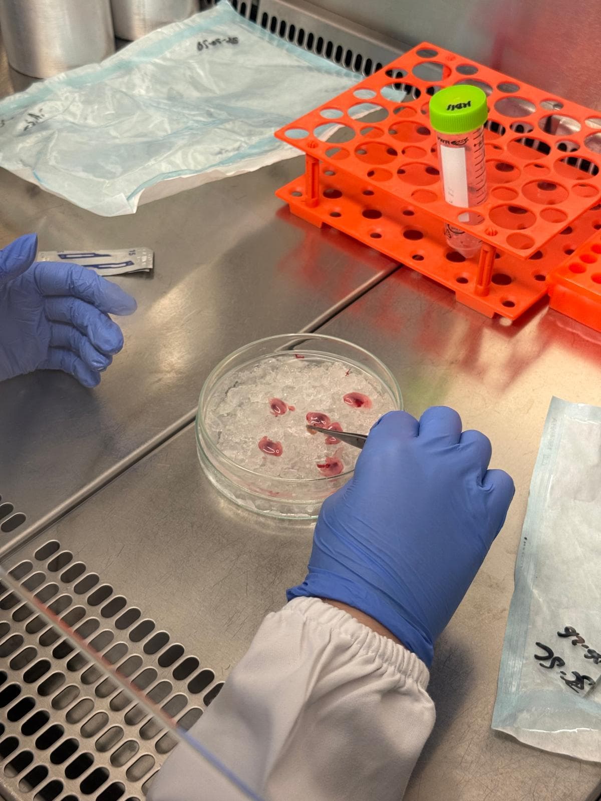 Preparing tissue samples on ice